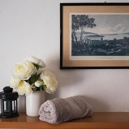 Pupa Opatija Istra Jurdani