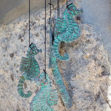 Pupa Opatija Istra *